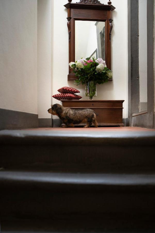 Palazzo Malaspina Bed & Breakfast